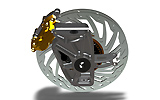 IFR Aspid 2008