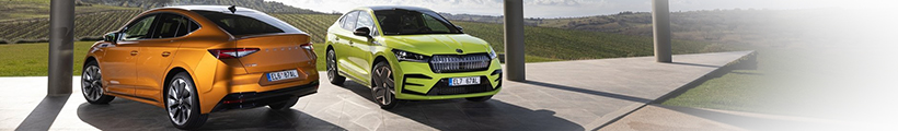 cabecera Skoda
