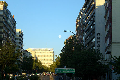 Lunita tucumana