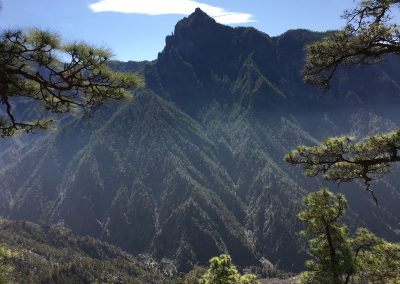 Pico Bejenado desde la Caldera de Taburiente