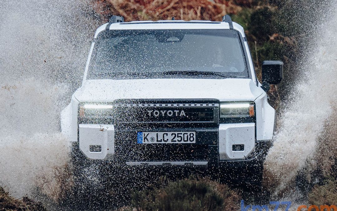 2024. Ventas a particulares. Toyota, líder destacado.